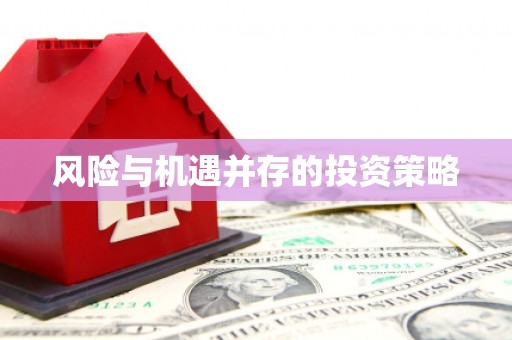 钟山风险与机遇并存的投资策略