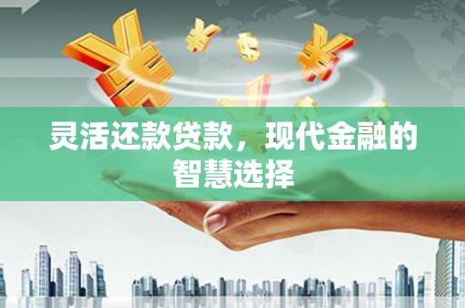 钟山灵活还款贷款，现代金融的智慧选择