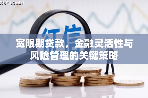 钟山宽限期贷款，金融灵活性与风险管理的关键策略