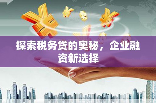 钟山探索税务贷的奥秘，企业融资新选择