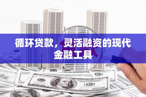 钟山循环贷款，灵活融资的现代金融工具