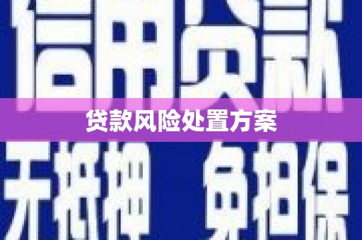 钟山贷款风险处置方案