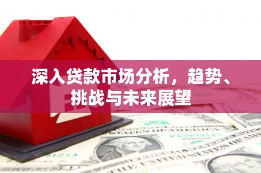 钟山深入贷款市场分析，趋势、挑战与未来展望