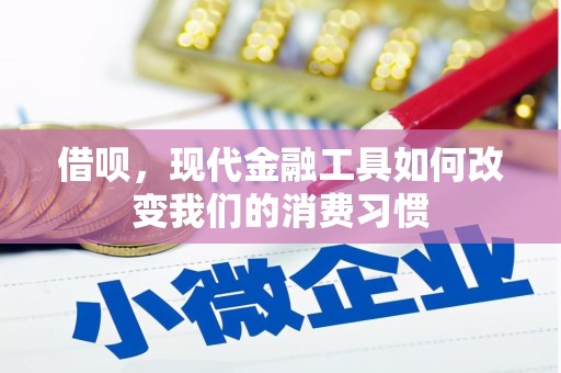 钟山借呗，现代金融工具如何改变我们的消费习惯