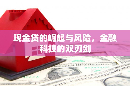 钟山现金贷的崛起与风险，金融科技的双刃剑