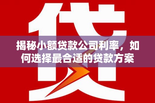 钟山揭秘小额贷款公司利率，如何选择最合适的贷款方案