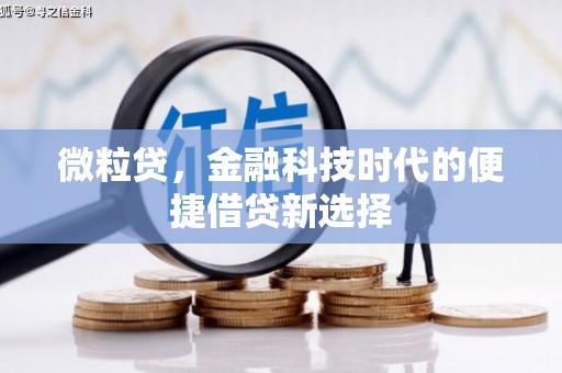 钟山微粒贷，金融科技时代的便捷借贷新选择