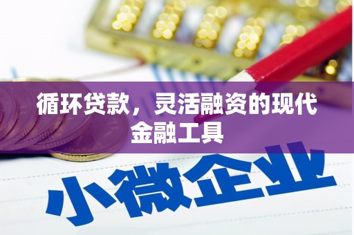钟山循环贷款，灵活融资的现代金融工具