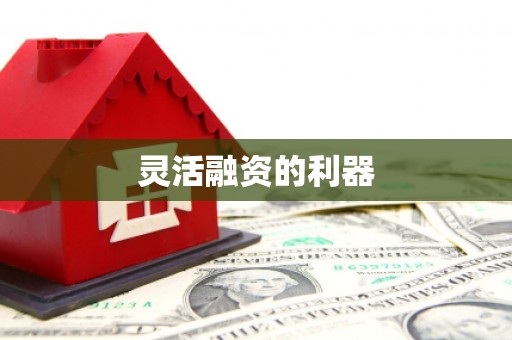 钟山灵活融资的利器